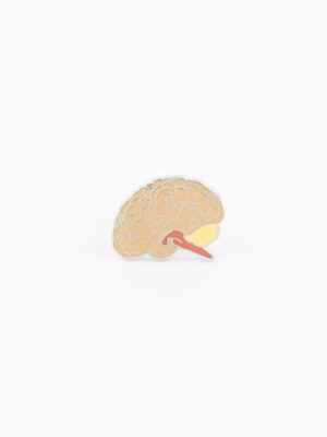 Brain