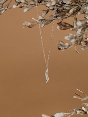 The Silver Spine